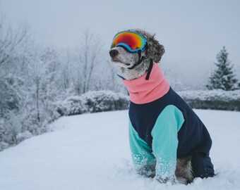 winter dog suit with built in boots