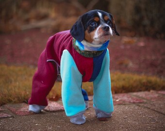 goldendoodle snowsuit