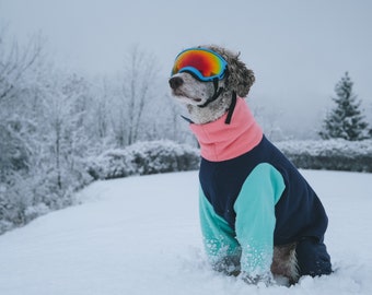 dog winter jacket with legs