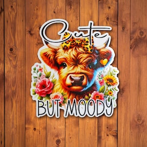 Cute But Moody Sticker; Funny Sticker; Funny Decal; Highland Cow Sticker; Cute; Laptop Sticker; Tumbler Sticker; Laptop Decal; Stickers
