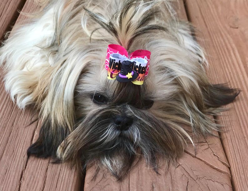 Dog Hair Bows Alabama Pet Bow Alabama Crimson Tide Dog Bow Red White Football Bows Roll Tide Dog Bow Barrette Double Elastic Bands