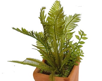 Miniature Fern, Palm and ZZ Plant SVG, Cricut and Silhouette Files (Digital Download)
