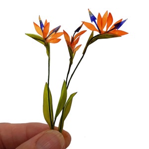 SVG- und DXF-Dateien für Cricut und Silhouette.12th scale und 6th scale Miniature Bird Of Paradise. Sofortiger Download.