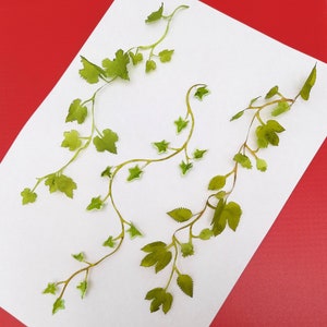SVG files.  Approximately 2/3 life size and also 1/4 life size. Vines and bines files for Cricut and Silhouette. Instant Download.