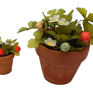 May include: Two potted strawberry plants with green leaves, white flowers, and red berries. The larger plant is in a terracotta pot, while the smaller plant is in a smaller terracotta pot.