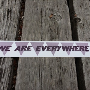 WE ARE EVERYWHERE, Vintage Lesbian Feminist Bumper Sticker