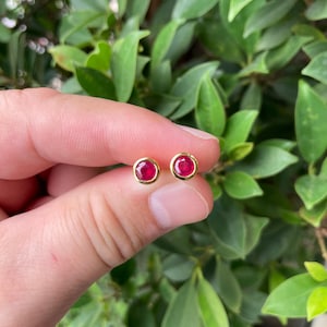 May include: A pair of gold stud earrings, each with a round, vivid red gemstone. The gemstones are set in a gold bezel, offering a classic and elegant appearance. The earrings are shown against a background of green leaves.