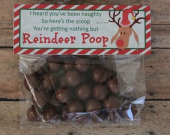 REINDEER POOP