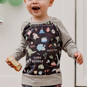 Birthday Dino shirt Birthday Dinosaur Oeko tex pullover Second third fourth birthday outfit Dino shirt Dinosaur shirt image 2