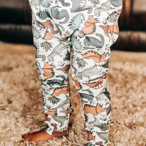 Dino baby harems okeo tex certified baby clothes dinosaur pants baby pants baby leggings unisex toddler leggings image 2