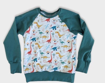 Dino pullover - dino shirt for kids - toddler to 8/9 - baby dino shirt - dino gifts under 40 - birthday gift third fourth fifth