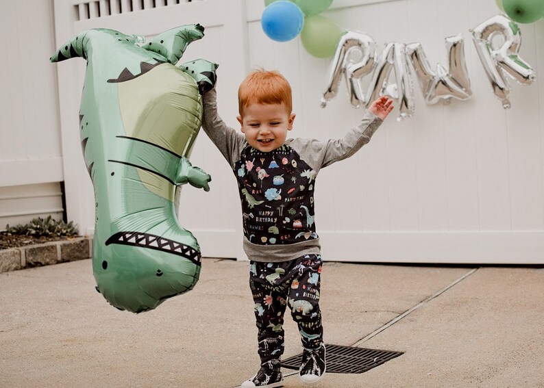 Birthday Dino shirt Birthday Dinosaur Oeko tex pullover Second third fourth birthday outfit Dino shirt Dinosaur shirt image 8