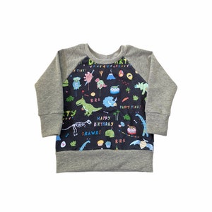 Birthday Dino shirt Birthday Dinosaur Oeko tex pullover Second third fourth birthday outfit Dino shirt Dinosaur shirt image 4