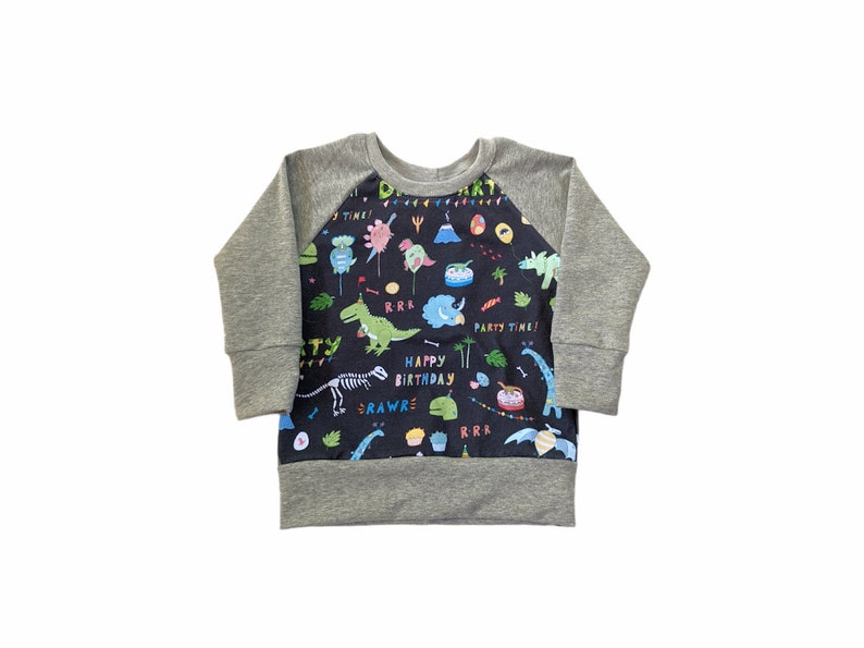 Birthday Dino shirt Birthday Dinosaur Oeko tex pullover Second third fourth birthday outfit Dino shirt Dinosaur shirt image 4