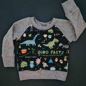 Birthday Dino shirt Birthday Dinosaur Oeko tex pullover Second third fourth birthday outfit Dino shirt Dinosaur shirt image 1