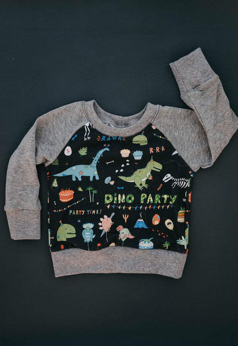 Birthday Dino shirt Birthday Dinosaur Oeko tex pullover Second third fourth birthday outfit Dino shirt Dinosaur shirt image 1