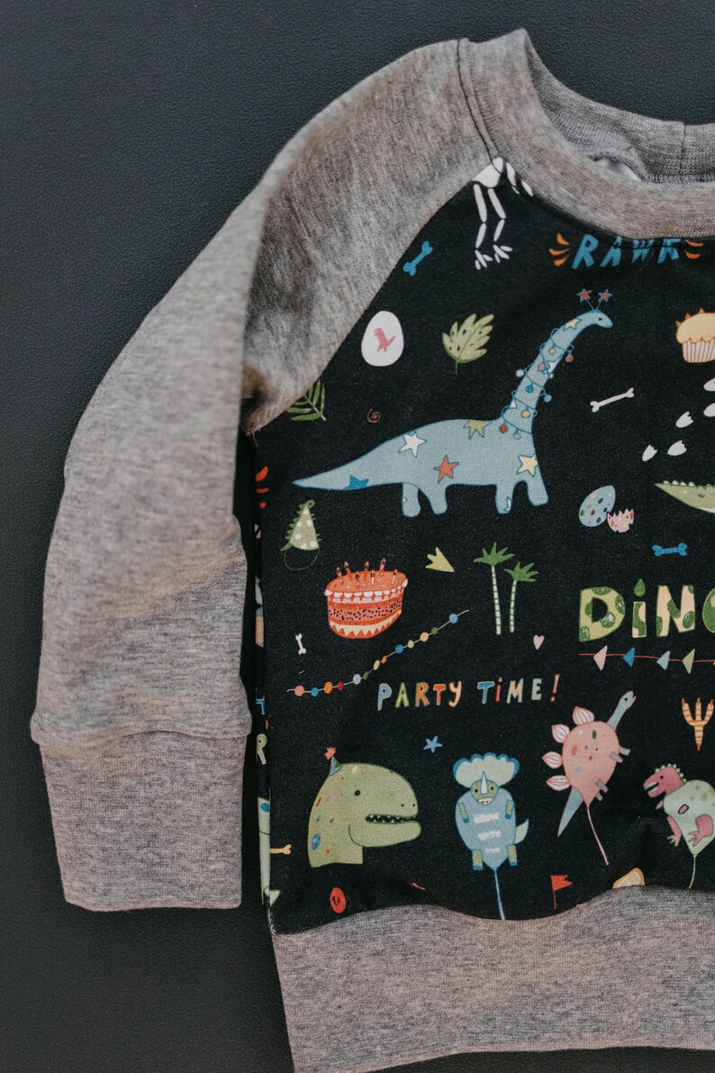 Birthday Dino shirt Birthday Dinosaur Oeko tex pullover Second third fourth birthday outfit Dino shirt Dinosaur shirt image 9