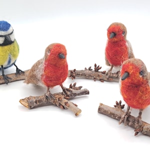 Robin needle felt, blue tit felted