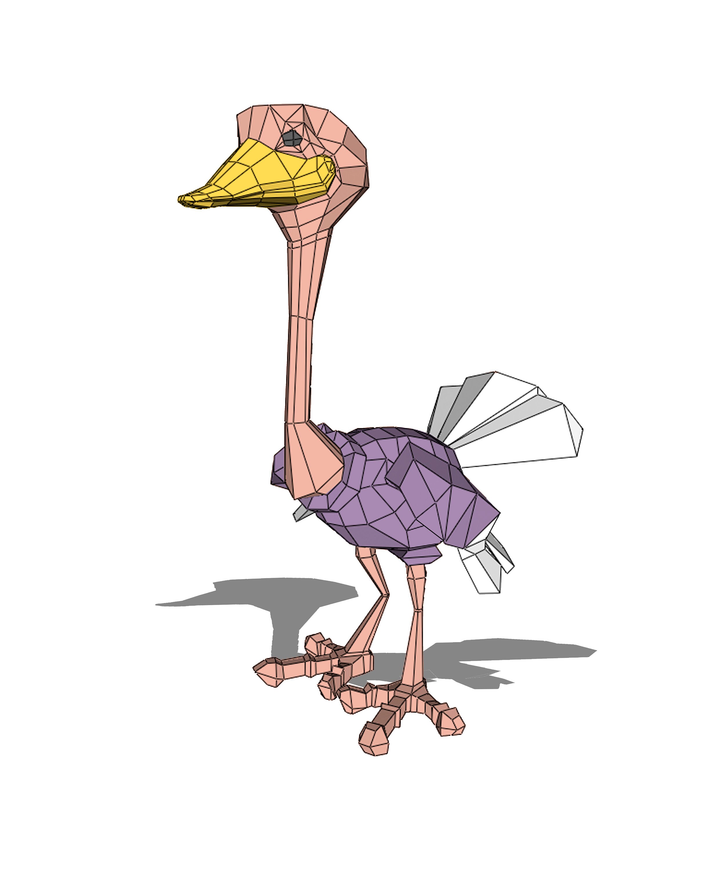 Ostrich mammal or bird image