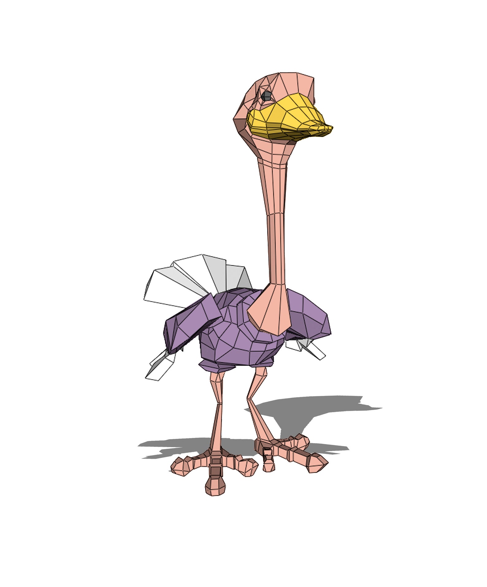 20 lines on ostrich picture