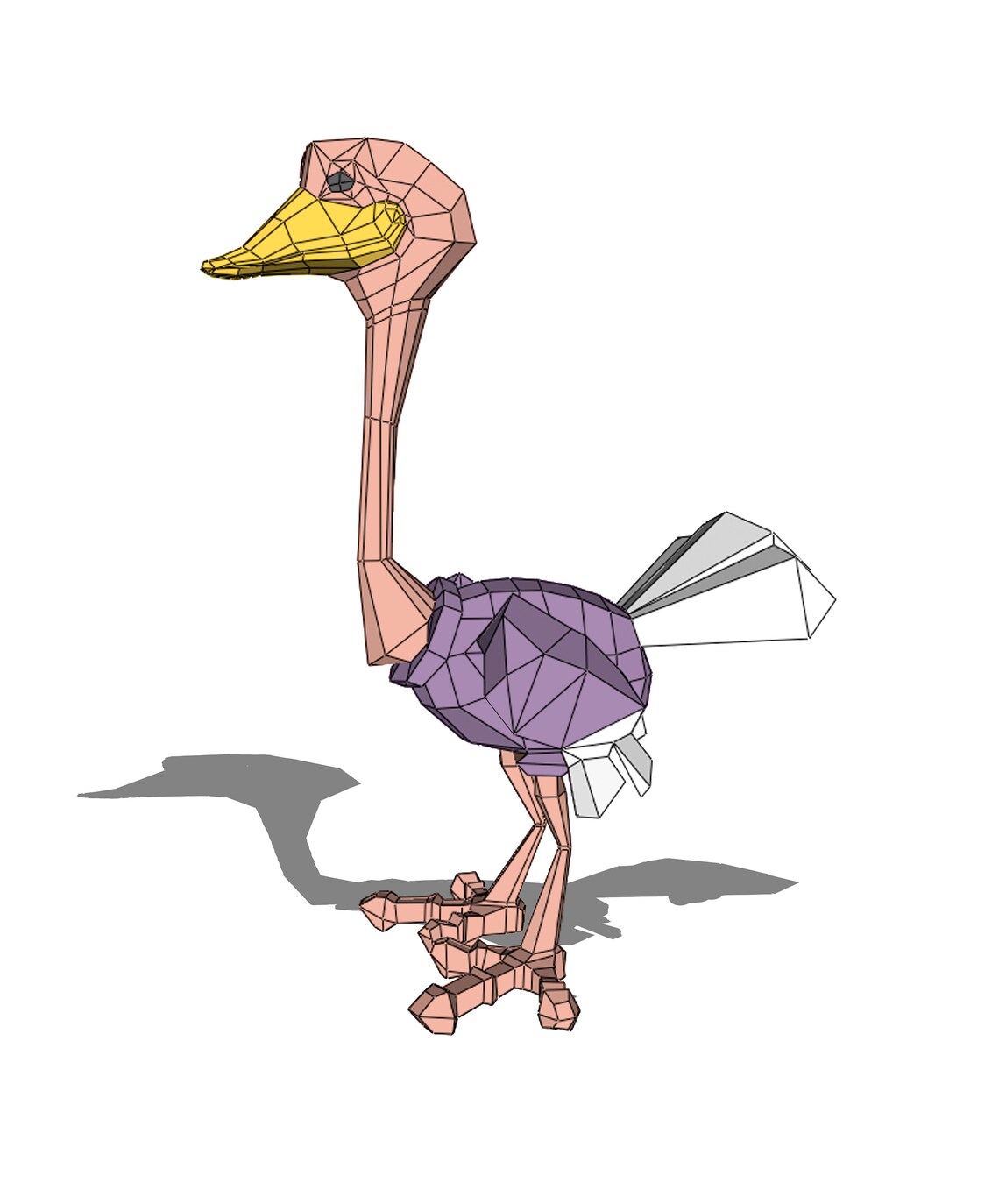 10 sentences about ostrich picture