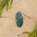 Green Leland Blue Cabochon