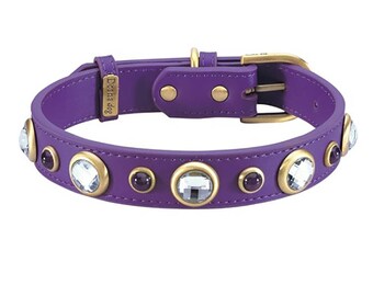 Purple Gem Dog Collar Glamour Dog Collar