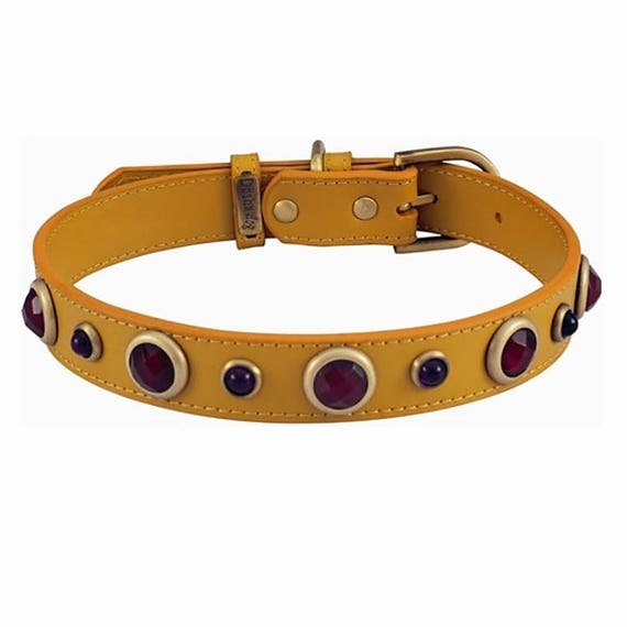 fancy leather dog collars