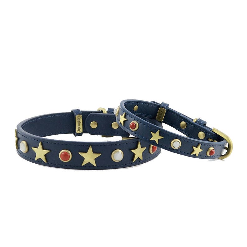 Blue Leather Dog Collar With Brass Stars Studs and Gemstones Etsy