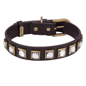 Brown leather Rhinestone Dog Collar, Dog Collar with diamonds, Bling Dog Brown Collar, Fashion leather collar, Luxury Leather Collar