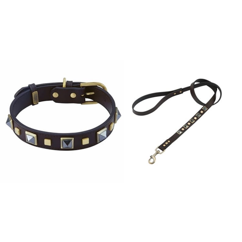 Studded Dog Collar Rock & Roll Dog Collar Biker Dog Collar Etsy