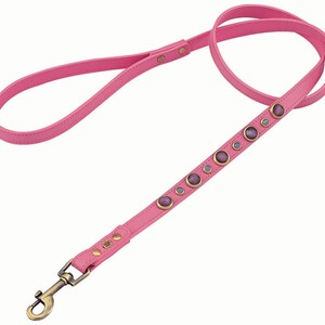 Op de afbeelding: Roze leren hondenriem met een decoratieve rij zilveren en paarse edelstenen.