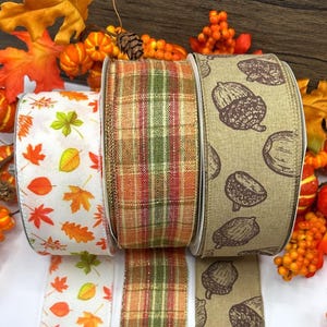 2.5&quot; wire edge Autumn ribbons, orange and brown Fall leaf acorn and tartan trims for door wreaths and bows - BY THE METRE