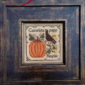 May include: A framed cross-stitch design featuring a pumpkin with the Latin name "Cucurbita pepo" and the word "Pumpkin" written below. A black bird sits on a vine above the pumpkin.