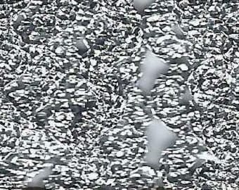 Può includere: Primo piano di una texture di foglio di alluminio argentato su sfondo bianco. Il foglio è stropicciato e ha un riflesso metallico.