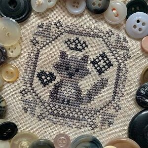Quirky Quaker - Raccoon - by Darling and Whimsy Designs Counted Cross Stitch Pattern/Chart