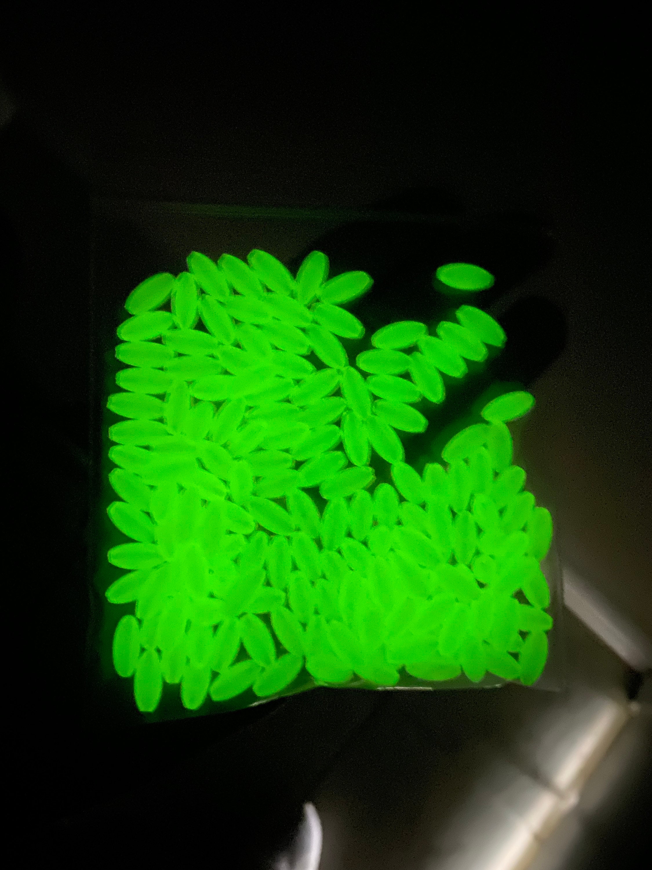 GlowInThe Dark Rice Beads for Jewelry making, Decorative beads . Appr