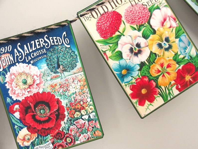 May include: Vintage seed packet banner with two panels. The left panel features a peacock and a field of red poppies with the text "John A. Salzer Seed Co. La Crosse Wisconsin". The right panel features a variety of colourful flowers with the text "The Old Homestead Flower Seed".