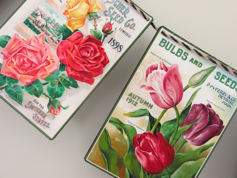 May include: Vintage seed packet banner with two panels. The first panel features a red, pink, and yellow rose with the text "Scher Seed Co. Limited 1898" and "For the Southern States". The second panel features three pink, red, and purple tulips with the text "Bulbs and Seeds D-M-Ferry & Co. Detroit, Mich. Autumn 1912".