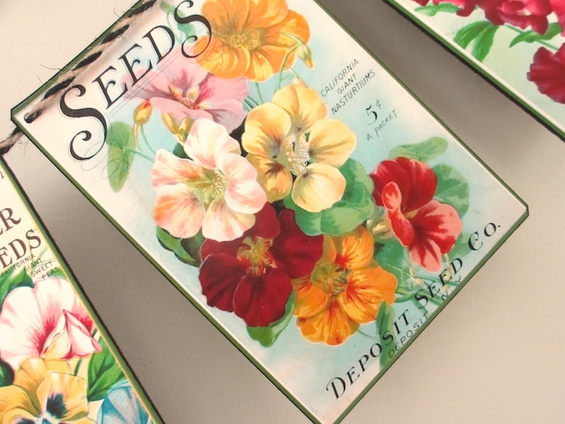 May include: Vintage seed packet with a blue background and a variety of colourful flowers. The text on the packet reads "SEEDS" and "DEPOSIT SEED CO.".