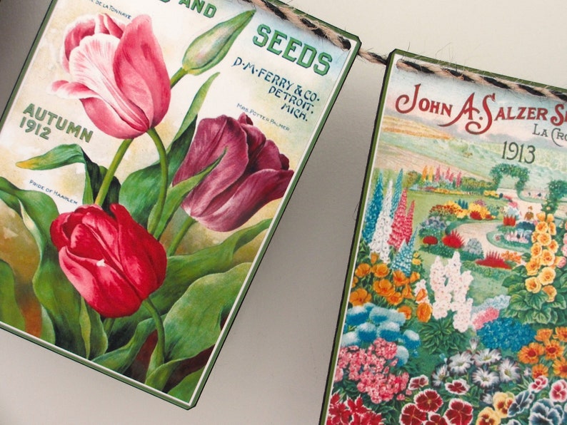 May include: Vintage seed packets featuring illustrations of flowers. The first packet is for tulip seeds and reads "Autumn 1912" and "Pride of Haarlem". The second packet is for seeds and reads "D-M-Ferry & Co. Detroit, Mich.". The third packet is for seeds and reads "John A. Salzer Seed Co. La Crosse, Wis. 1913".