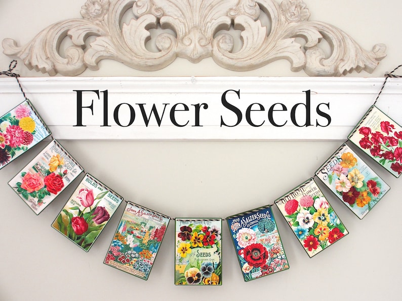 May include: A garland of vintage flower seed packets with colourful illustrations and text, hanging on a white wall with the words "Flower Seeds" above it.
