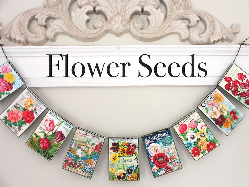 May include: A banner of vintage flower seed packets hangs on a white wall. The banner reads "Flower Seeds" and features a variety of colourful flowers.