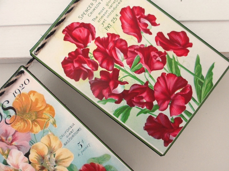 May include: Vintage seed packet featuring a bouquet of red sweet pea flowers with green leaves. The packet is labelled "Spencer's Crimson Pea" and "PKT. 25&cent;".