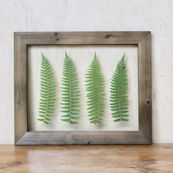 Pressed Fern Framed - Etsy