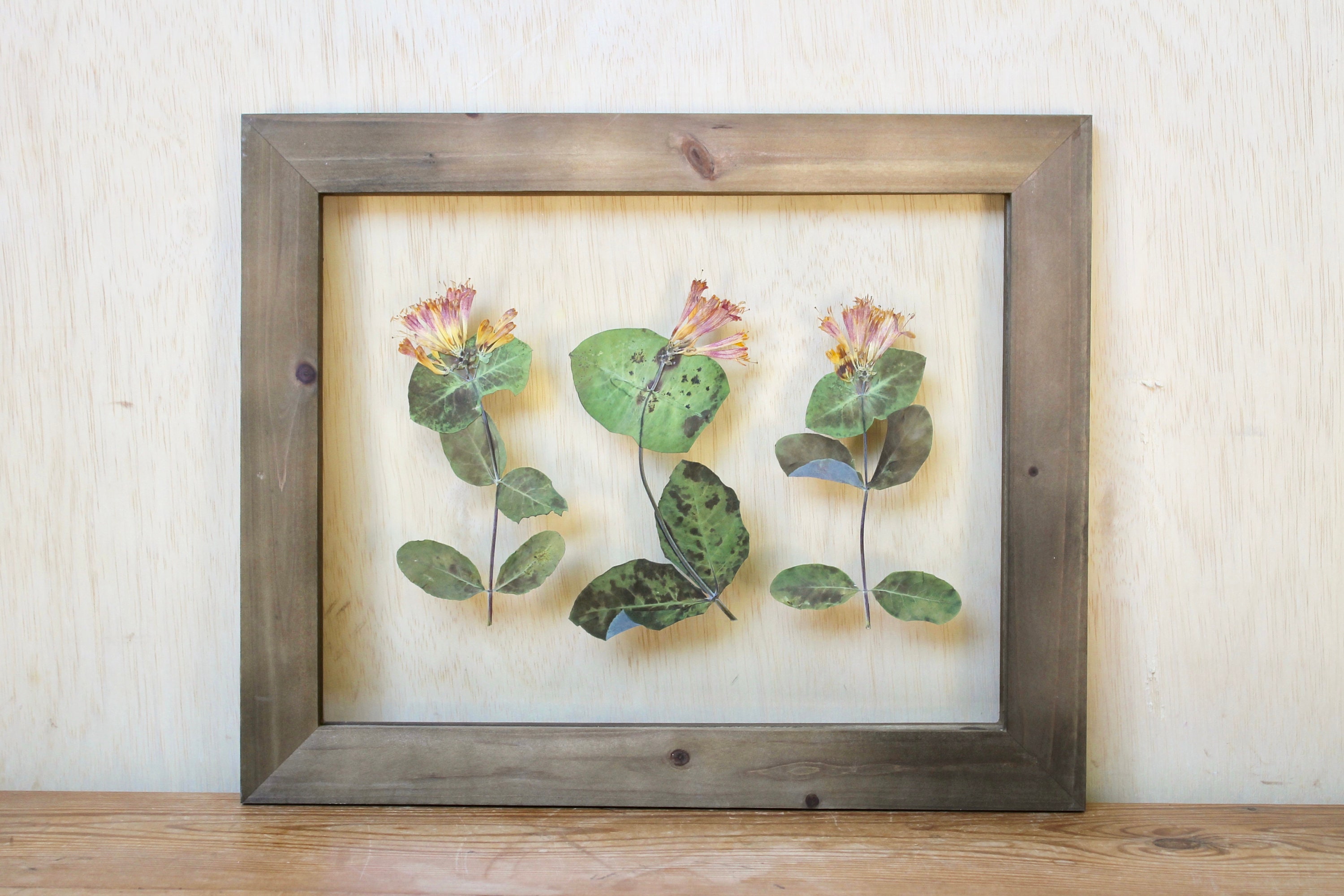 Colorful Pressed Dried Wildflowers in Watercolor Style · Creative Fabrica