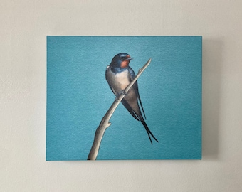 Barn Swallow 16” x 20” Stretched Canvas Art Print