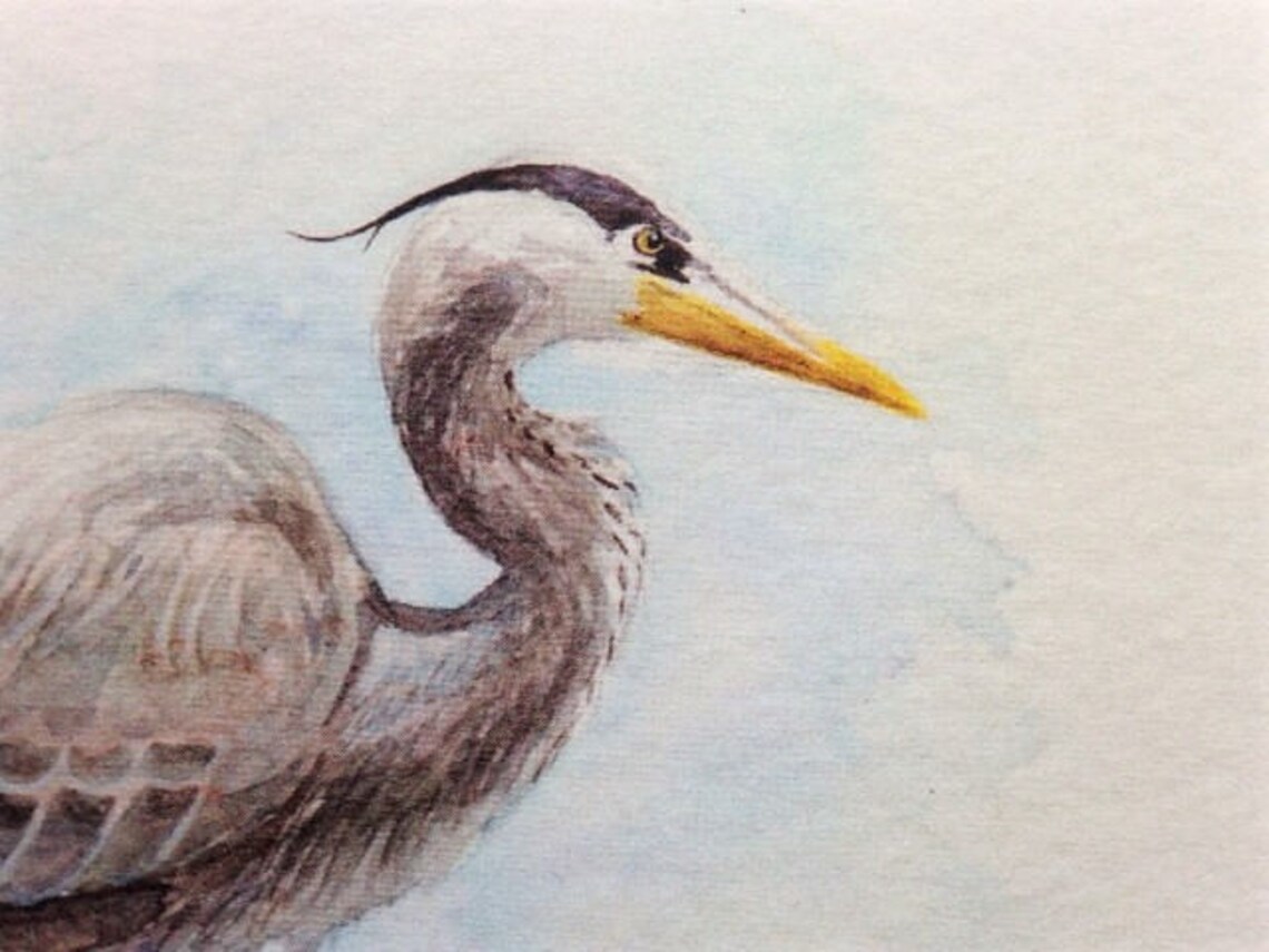 Watercolor Great Blue Heron 5x7 Postcard Print - Etsy Israel