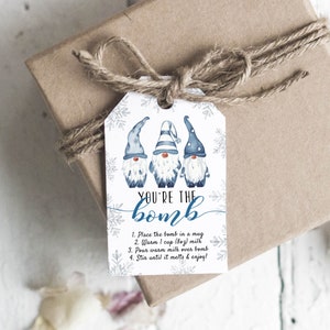 Winter Chocolate Bomb Tag, Gnomes Hot Cocoa Bomb Tag, You&#39;re the Bomb, Printable Hot choclate Bomb Tag, TEMPLETT, WLP-VTA 3936