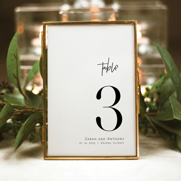 Minimalist Wedding Table Numbers, Modern Table Numbers, Templett Table Numbers, Reception Table Numbers, 5x7, 4x6, 3x5, WLP-PEN 4439